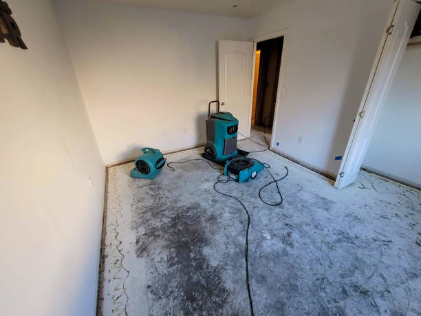 Best Flood restoration services  in Pinetops, NC