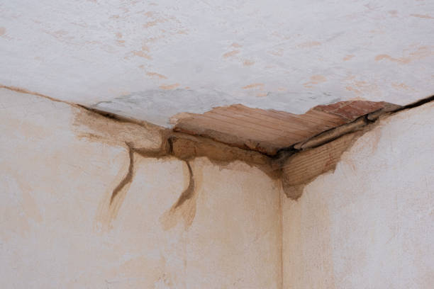 Best Residential water damage restoration  in Pinetops, NC