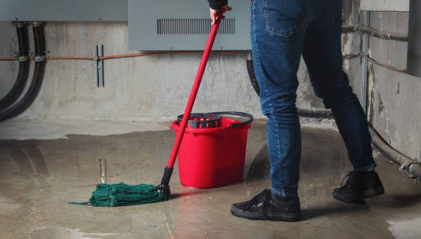 Best Basement water damage restoration  in Pinetops, NC