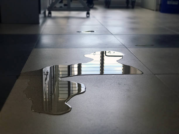Best 24/7 water damage repair  in Pinetops, NC