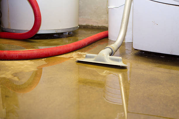  Pinetops, NC Water damage restoration Pros