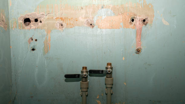  Pinetops, NC Water damage restoration Pros
