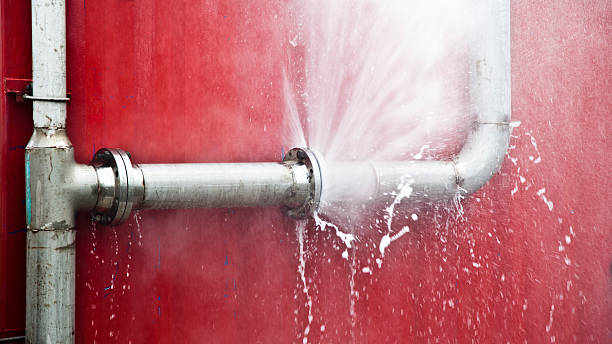 Best Flooded house restoration  in Pinetops, NC