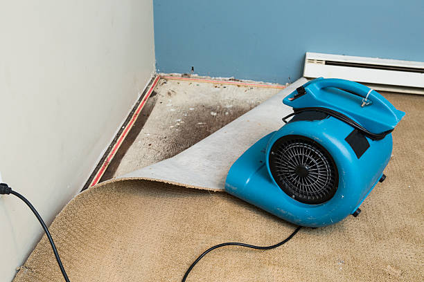Best Ceiling water damage repair  in Pinetops, NC