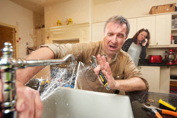 Best Carpet water damage restoration  in Pinetops, NC